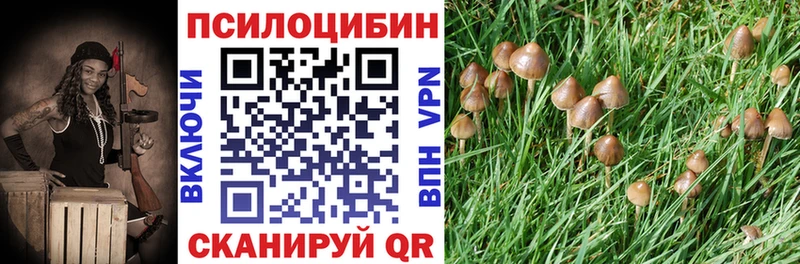 hydra как зайти  Вельск  площадка Telegram  Псилоцибиновые грибы Cubensis 